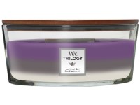 WoodWick Trilogy Amethyst Sky svíčka loď
