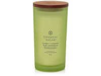 VONNÁ SVÍČKA CHESAPEAKE BAY CANDLE AWAKEN & INVIGORATE VELKÁ