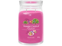YANKEE CANDLE ART IN THE PARK SIGNATURE VELKÝ